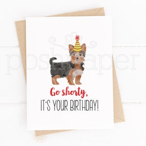 Pode incluir: Um cart&atilde;o de anivers&aacute;rio com uma ilustra&ccedil;&atilde;o em aquarela de um Yorkshire Terrier usando um chap&eacute;u de festa. O texto no cart&atilde;o diz "Go shorty, it's your birthday!"