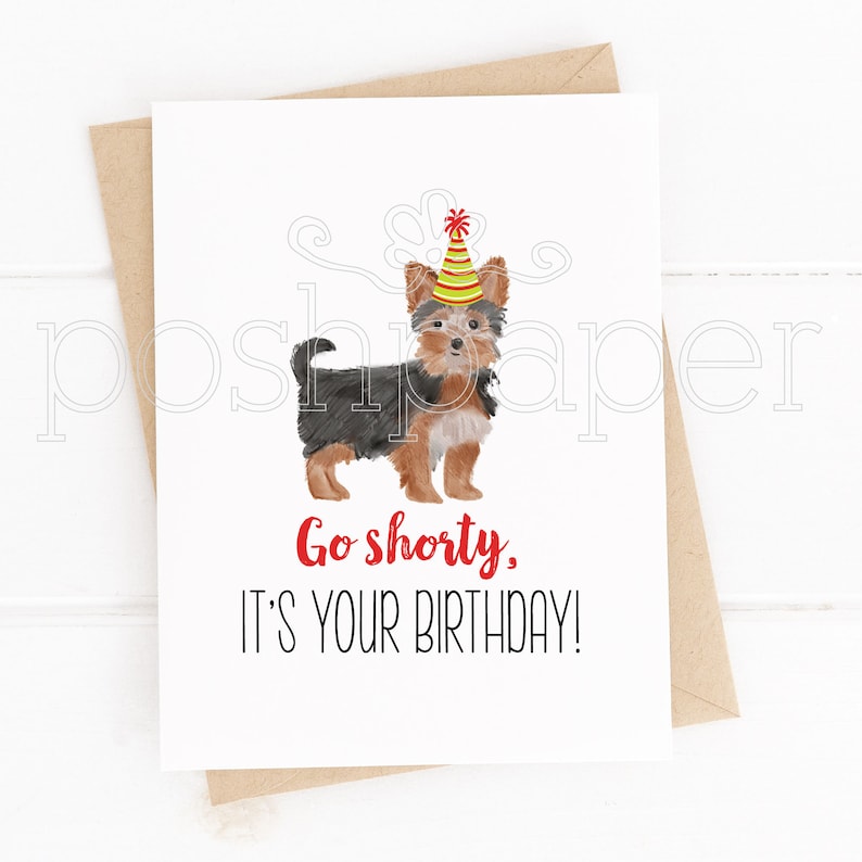 Pode incluir: Um cart&atilde;o de anivers&aacute;rio com uma ilustra&ccedil;&atilde;o em aquarela de um Yorkshire Terrier usando um chap&eacute;u de festa. O texto no cart&atilde;o diz "Go shorty, it's your birthday!"