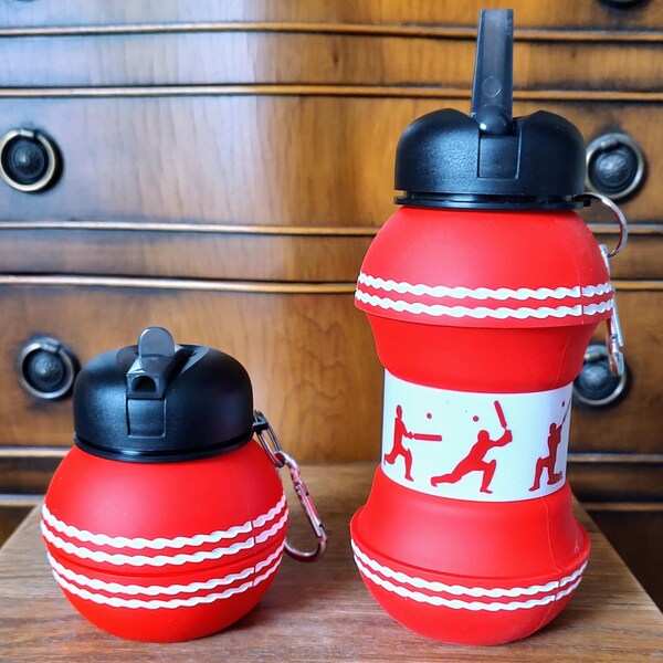 Cricket Ball Water Bottle Etsy