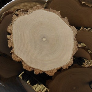 10 x wooden discs tree discs elderberry decoration crafting with wood floristry elderberry wood