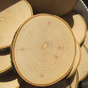 15 x Ash wooden discs tree discs wedding craft decoration