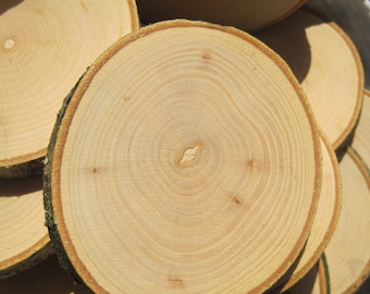15 x Ash wood slices, tree slices, wedding crafts, decoration