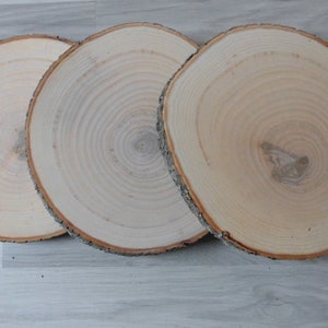 1 x Holzscheibe Baumscheiben  Esche 17 - 20 cm Hochzeit Tischdeko basteln dekorieren mit Holz