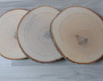 1 x Holzscheibe Baumscheiben  Esche 17 - 20 cm Hochzeit Tischdeko basteln dekorieren mit Holz