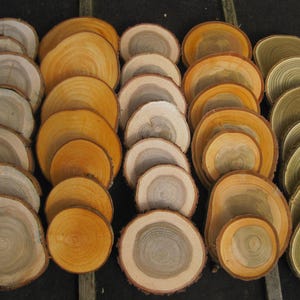 35 x wooden discs in a set alder oak cherry vinegar tree of life craft wood decorative wood natural organic wood