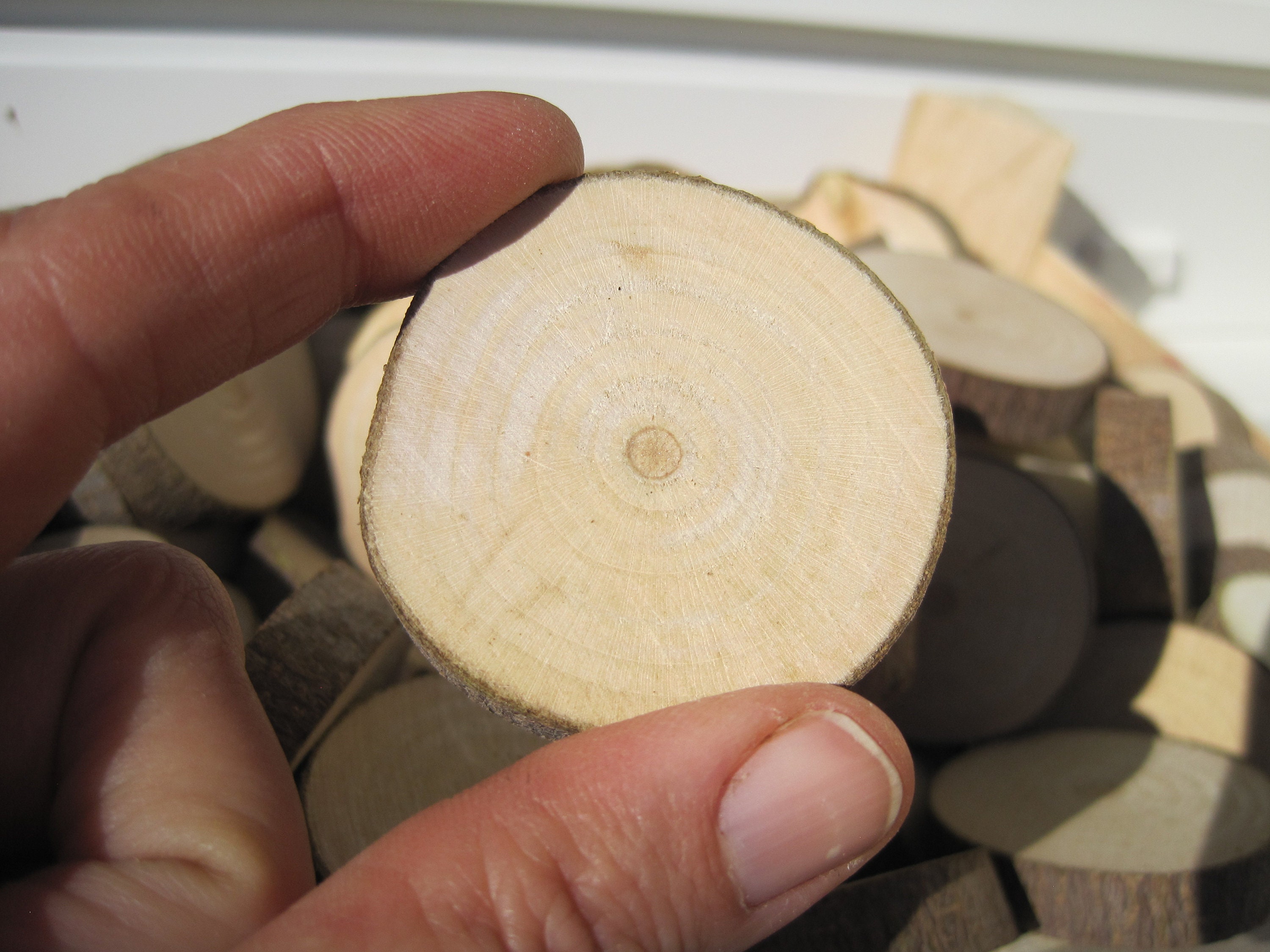 Holzscheiben 6 Cm Dünn U 3 Cm Dick Basteln Deko Kreativ Tischdeko In