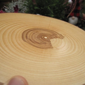 Könnte beinhalten: Nahaufnahme einer hellbraunen Holzscheibe mit konzentrischen Ringen und einer dunkleren braunen Mitte. Die Holzscheibe ist glatt und poliert.