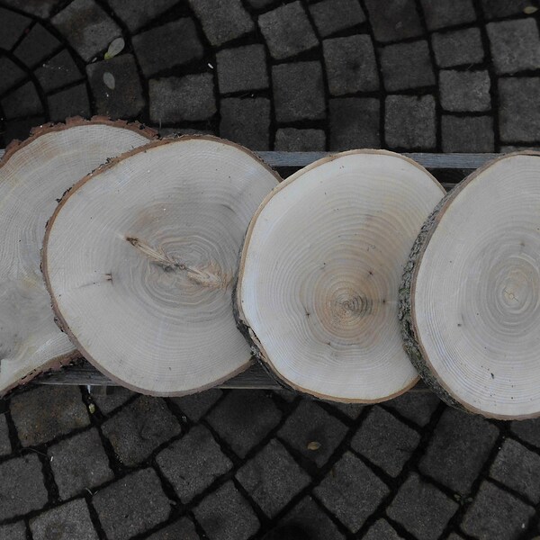 1 x craft set of wooden discs, tree discs, approx. 19 - 20 cm