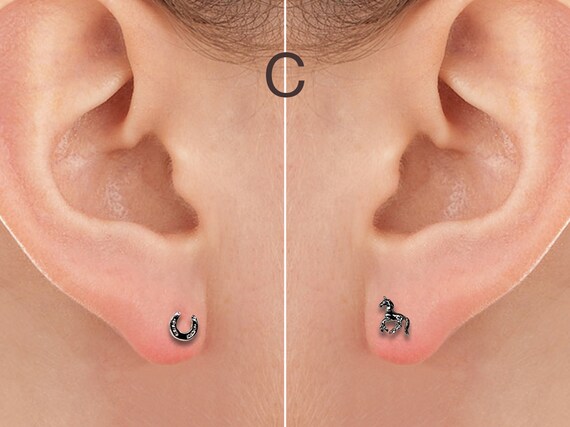 Horse Themed Fixed Earrings Horseshoes Paired With Horses Etsy Australia