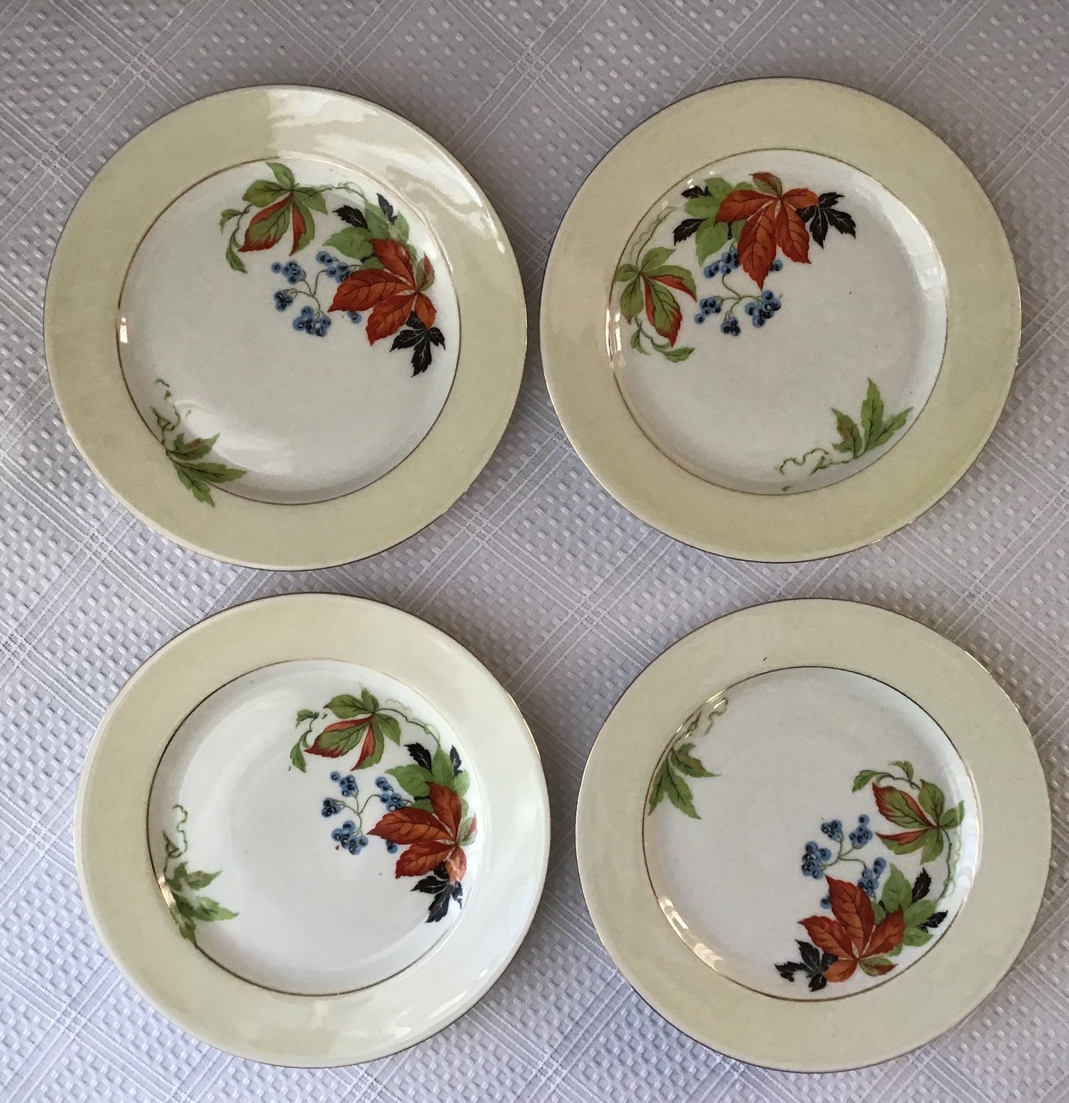 Lot of 16 Piece Vintage AMC Germany Porcelain Dinnerware Etsy