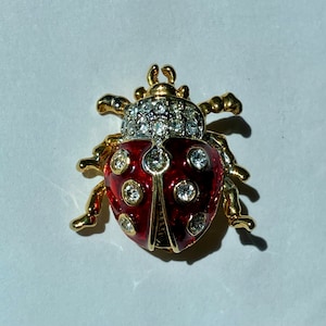 アクセサリー Christian Dior vintage brooch ladybug il_300x300.6175207066_8cq8.jpg