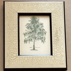 Vintage 1939 Lithograph Print Leaf Of German Book, White Birch Tree
