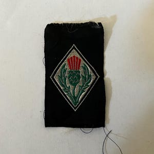 May include: A black rectangular patch with a diamond-shaped emblem featuring a green thistle with red accents. The thistle is surrounded by green leaves and a white border. The patch is likely an embroidered emblem.