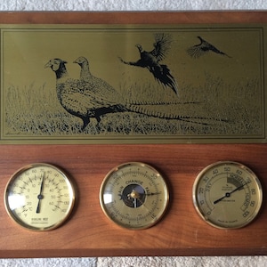 Vintage French-American Highline West Weather Station, 13” x 10 1/2”