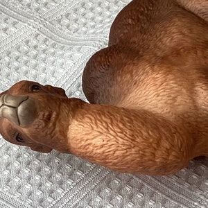 May include: A ceramic camel figurine in shades of brown, with detailed texture and a serene expression. The camel is lying down, with its head turned towards the viewer. The figurine is likely a decorative item.