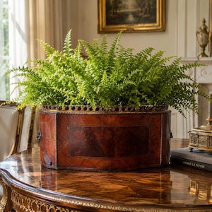 Antique French Inlaid Burl Walnut Jardiniere Planter, Brass Gallery and Handles