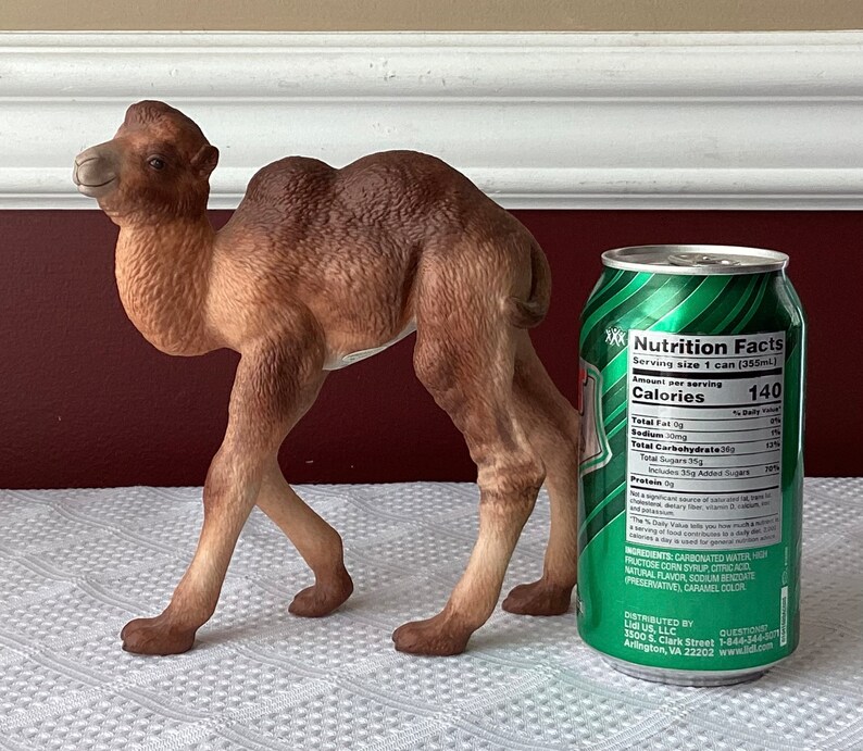 May include: A brown camel figurine stands next to a green soda can. The camel is detailed with a realistic appearance. The soda can has a green and white label with nutrition facts.