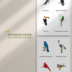 Uccelli del mondo / Identificazione degli uccelli / Uccelli su una mappa del mondo / Distribuzione mondiale degli uccelli / Educazione alla fauna selvatica / Download istantaneo