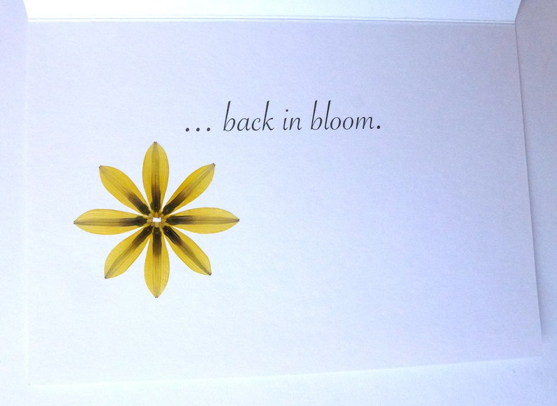 Get well cards handmade with pressed flower designs image 8