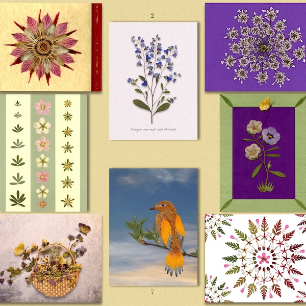 Kunstkarten/Grußkarten mit Motiven aus gepressten Blumen ohne Text