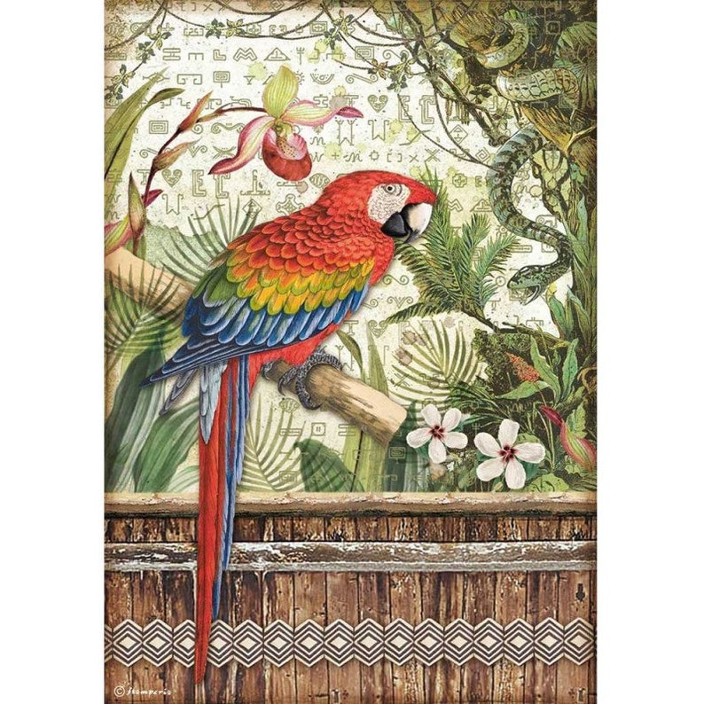 PRE-ORDER!! A4 Rice paper packed Amazonia parrot. Stamperia