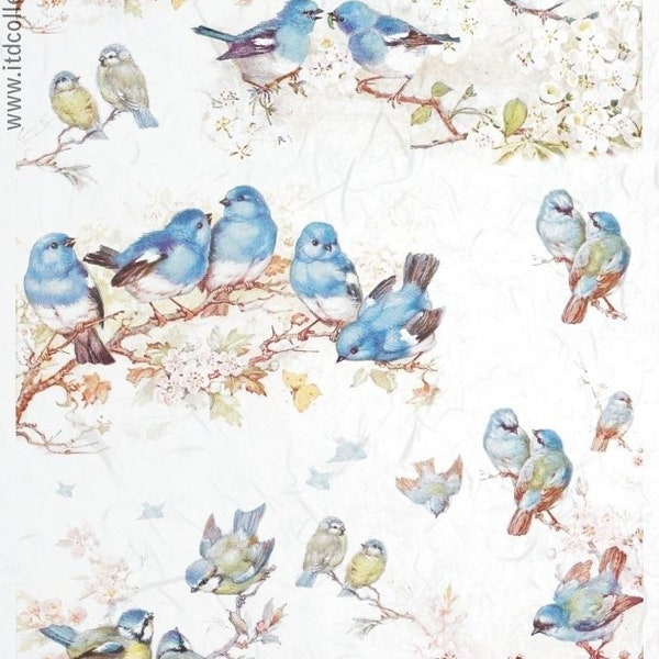 ITD Collection. 3pc A4. Reispapier. Birds song_Ostern. Decoupage.