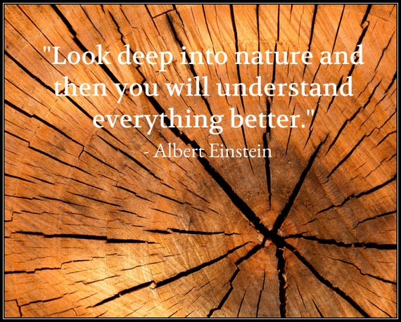 Nature Quote. look Deep Into Nature and | Etsy