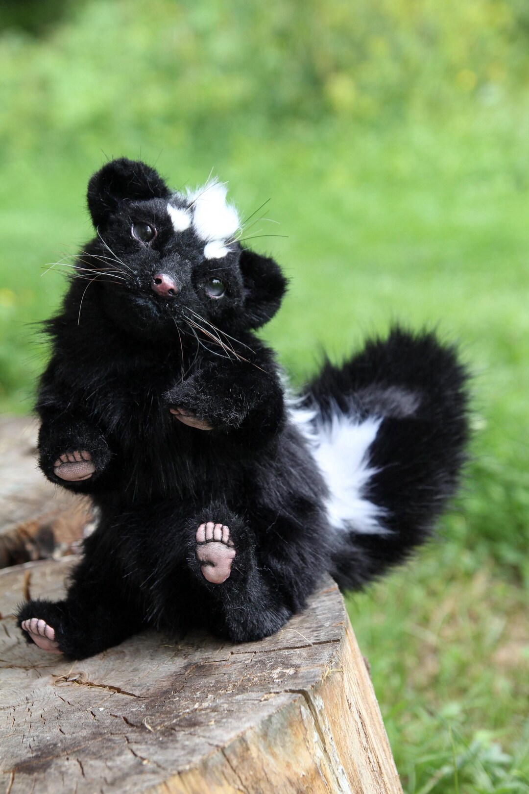 Skunk Rocker Plush Plush Toy Skunk, Realistic Skunk, Skunk, Baby Skunk - Etsy