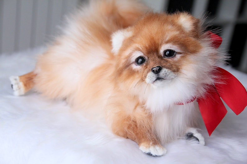 Pomeranian Spitz Toy, Realistic Dog, Spitz, Fluffy Spitz. MADE TO ORDER