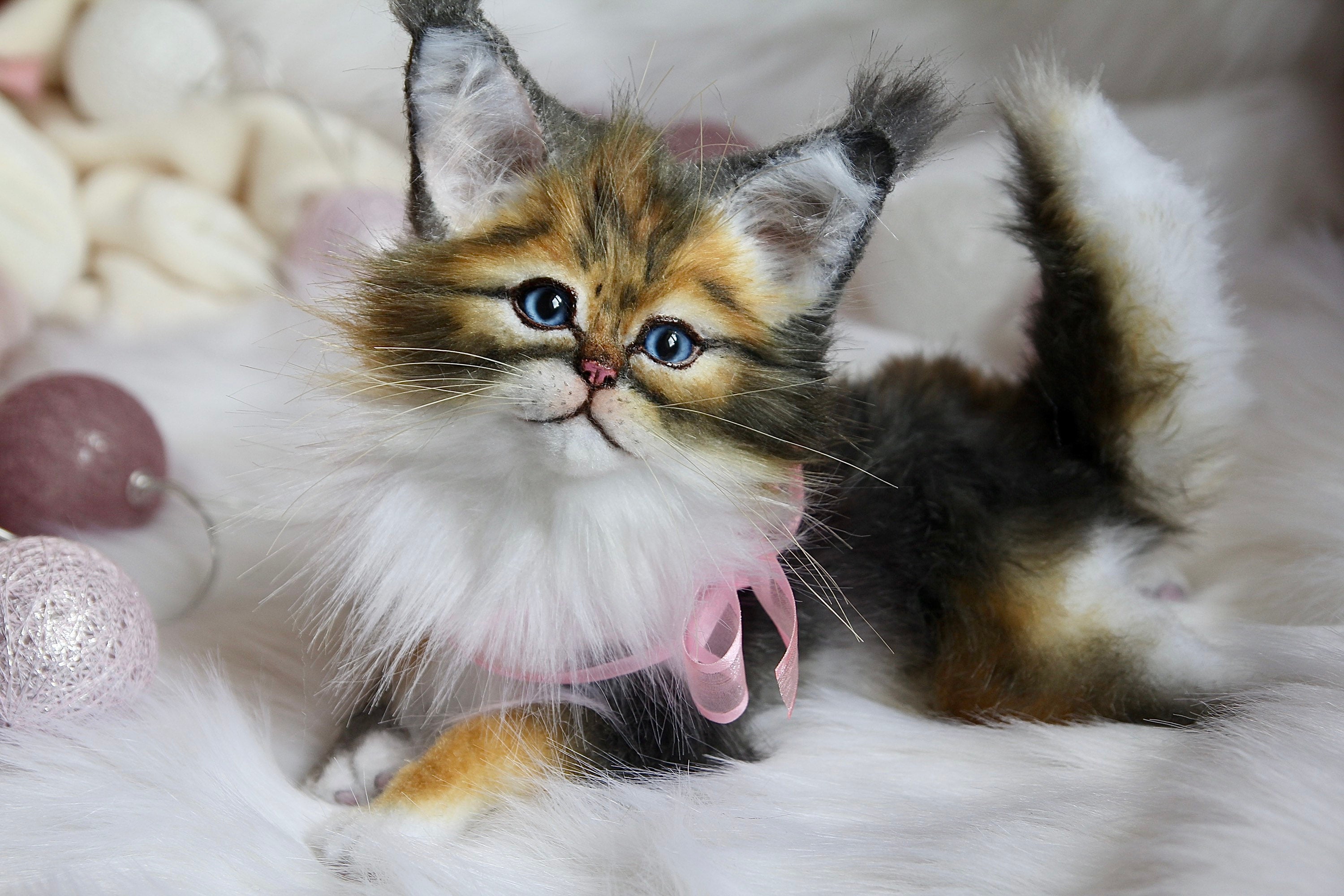 maine coon stuffed toy