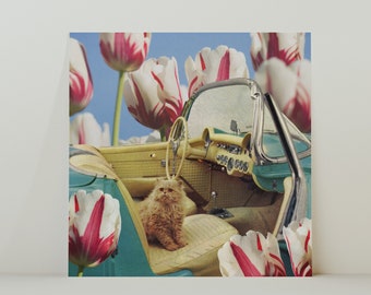 Cat Car Ride - Retro Inspired Surrealist Collage Square 20x20cm Print