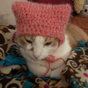 May include: A white and orange cat wearing a pink knitted hat with a pointed top. The cat is lying on a brown and blue patterned blanket.