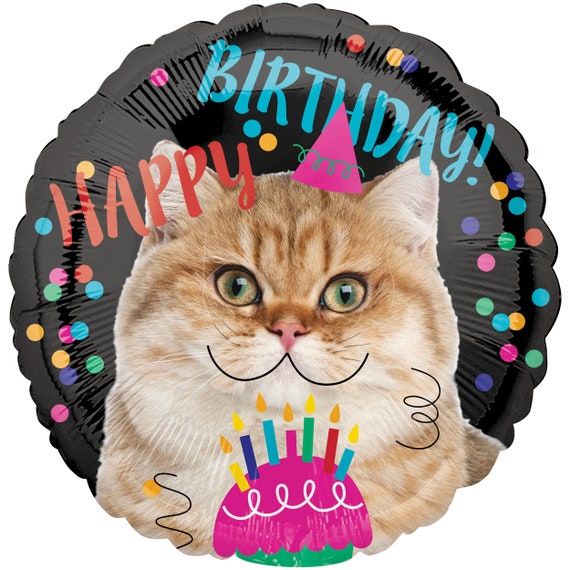 Ballon de chat joyeux anniversaire 18 », ballon de chaton, ballon de chat  de fête, ballon félin, chaton d’anniversaire, amoureux des chats,  décoration