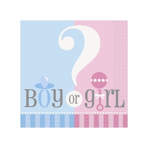 24 Small Gender Reveal Napkins, Baby Reveal Party, Boy or Girl, Baby Shower Napkins, Baby Shower Decoration, Gender Reveal Party