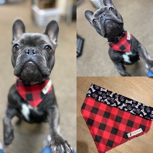 Plaid to the Bone HU Rag (Dog Bandana) Multiple Sizes