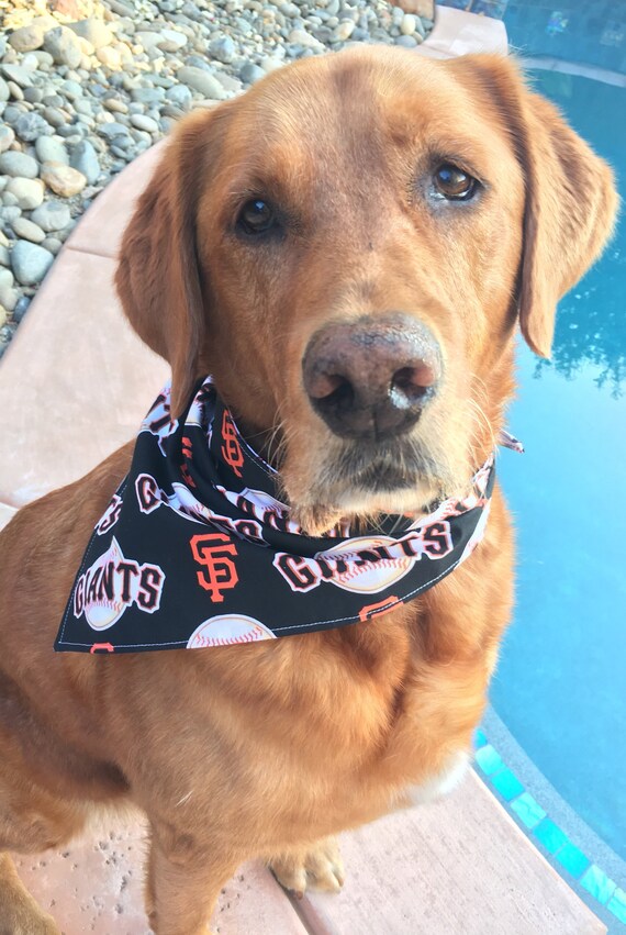 sf giants bandana