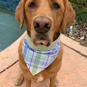 Easter Plaid HU Rag (Dog Bandana) multiple sizes
