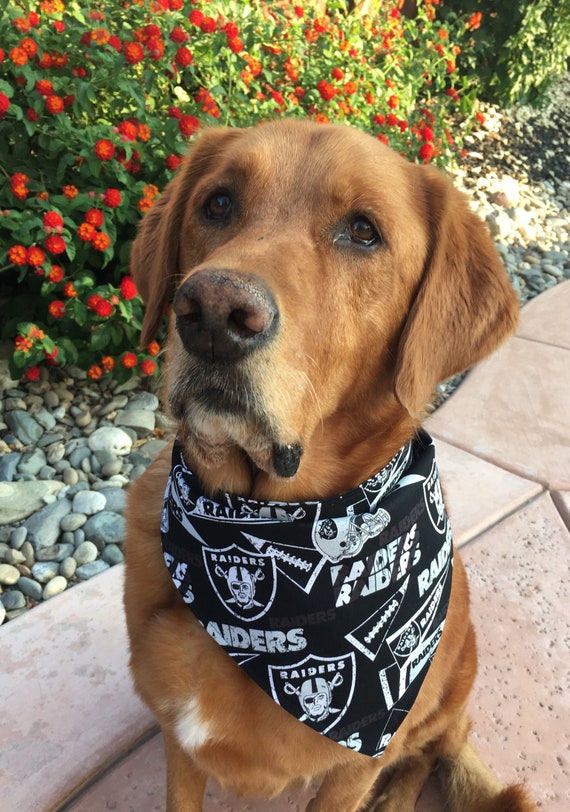raiders dog bandana