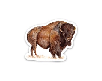 Buffalo Sticker