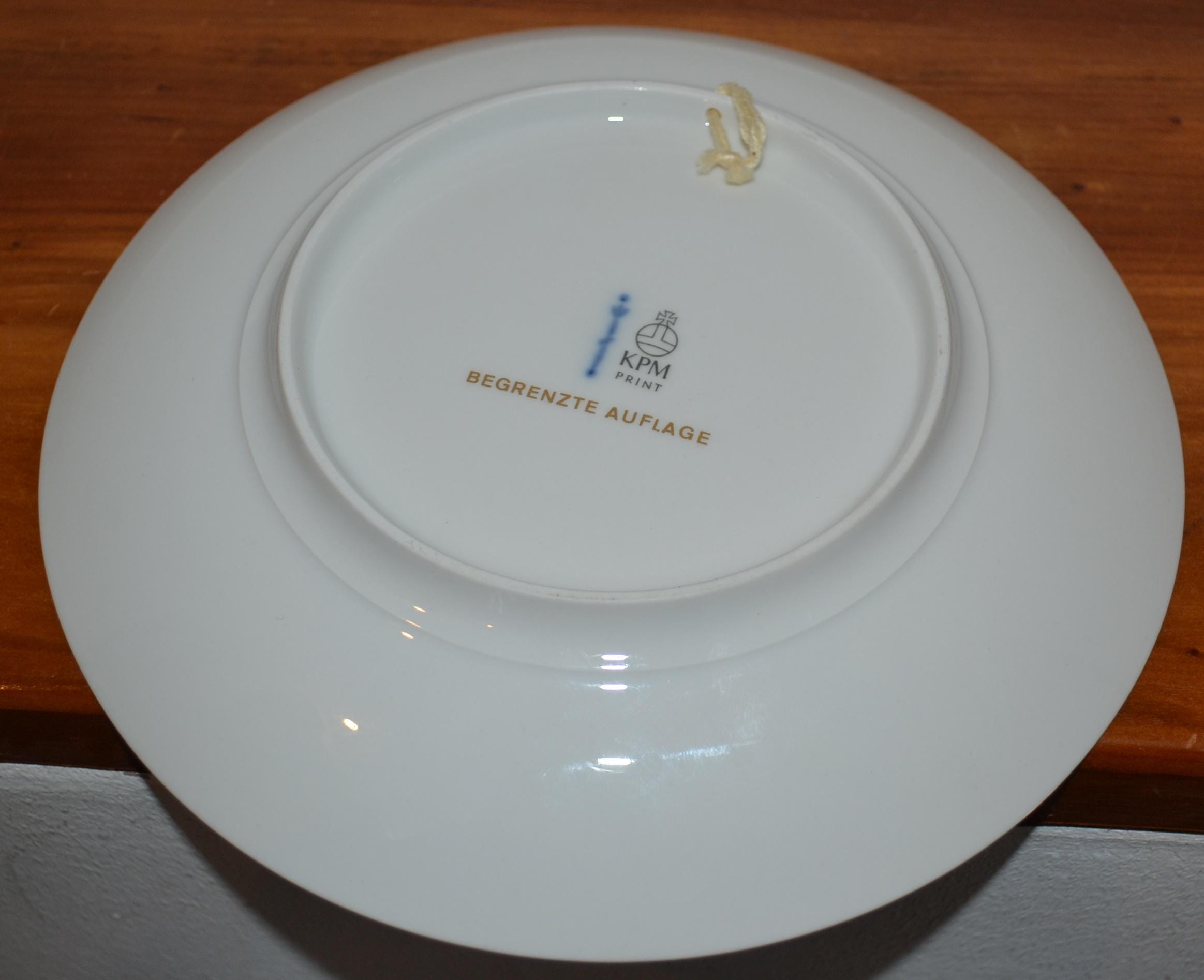 KPMプレート、 662-drive-safe-surf-mental-