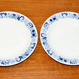 Puede incluir: Dos platos de cerámica blanca con un borde floral azul. Los platos son redondos con un borde ancho decorado con un patrón repetido de flores y hojas estilizadas. Los platos están sobre una superficie de madera.