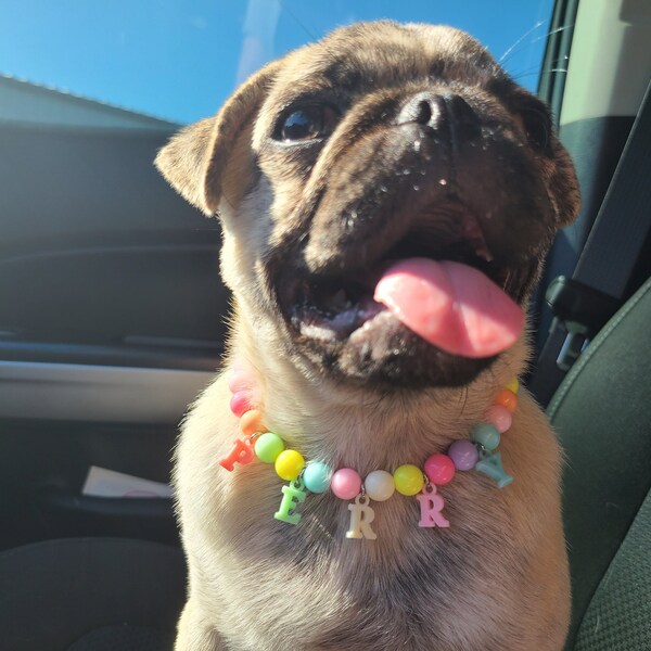 Dog Collar Beads Etsy