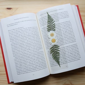 REAL Dried and Pressed Bookmark with Daisies and Ferns, Long Floral Book Mark, Flower Book Accessory