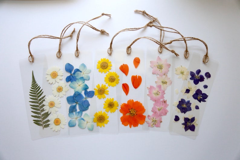 Real Dried Pressed Flower Bookmark, With Daisies, Hydrangeas, Larkspur, Wildflowers, Roses, Ferns, Gift for Teacher, Present for Her or Him! 