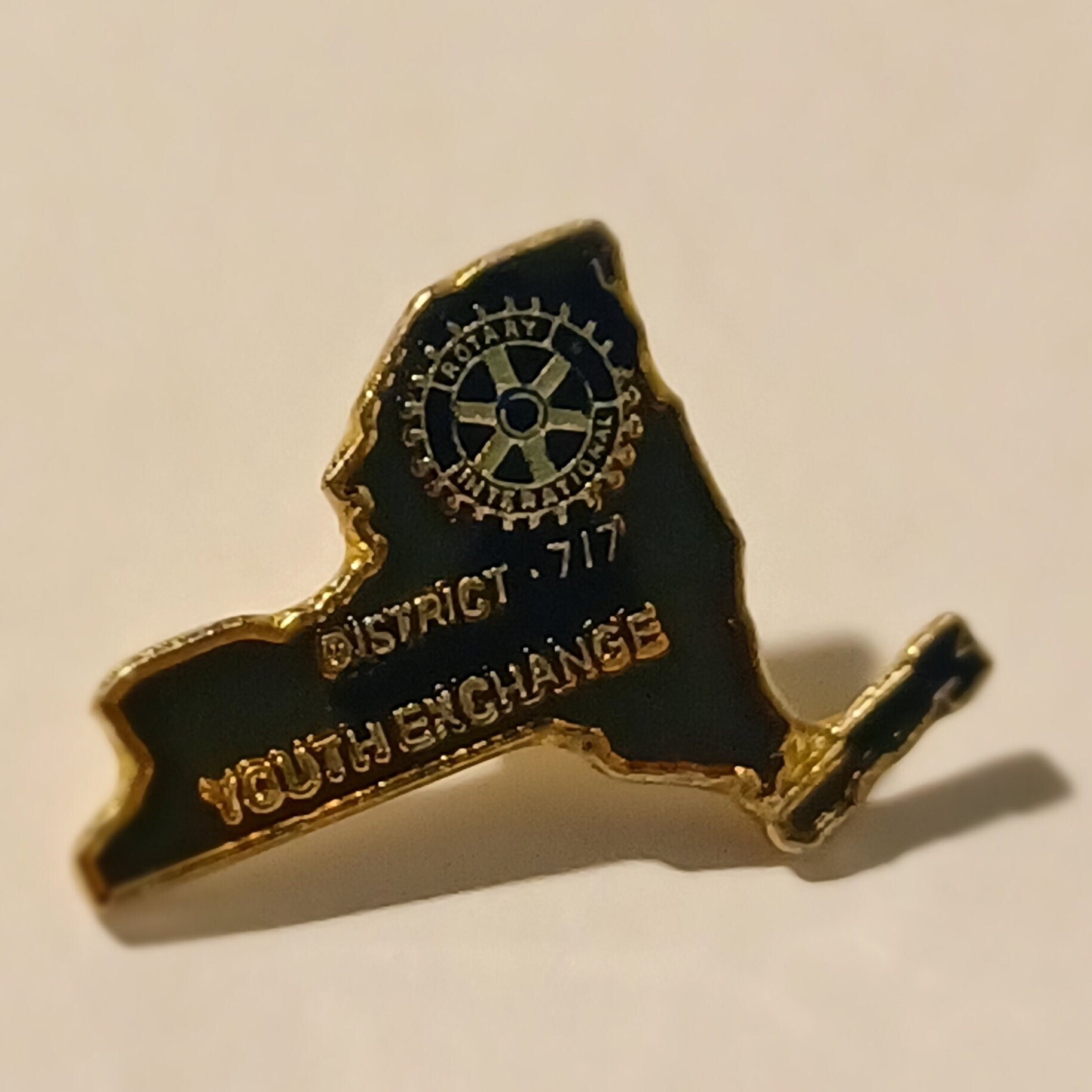 RiSaO＊❤️ Rotary International New York District 717 Youth Exchange