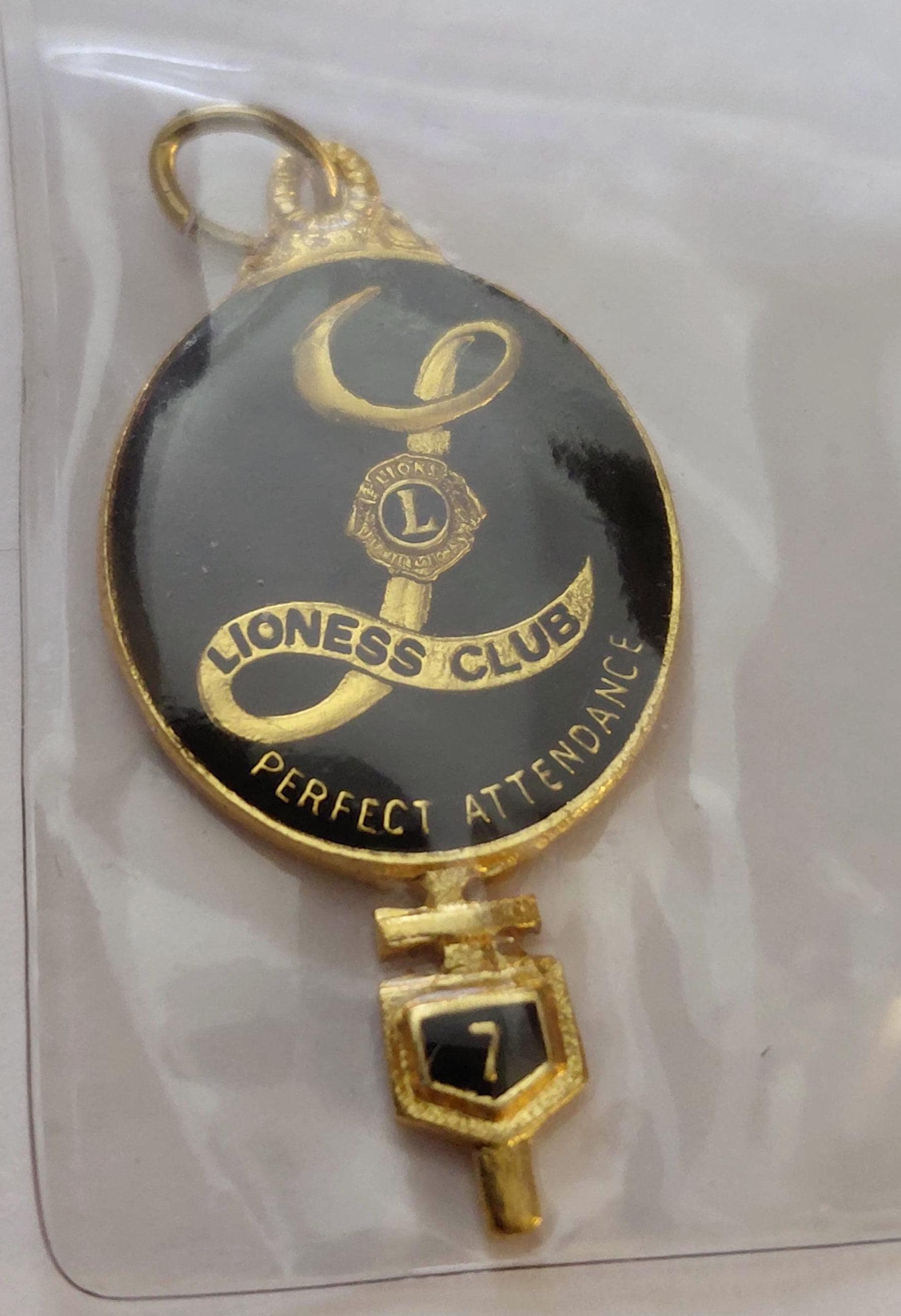 Lions club pins - Etsy 日本