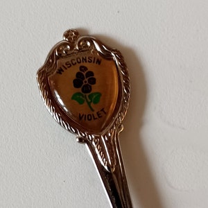 Vintage Wisconsin Violets Landmarks Etched Bowl Vacation Paradise Collectible Souvenir Spoon