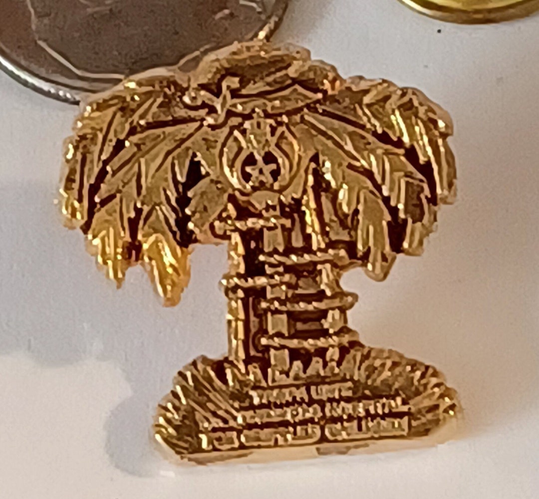 Tampa Unit Shriners Hospital for Crippled Children Masonic Gold Tone