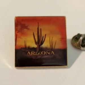 Arizona Desert Cactus Sunset Lapel/Hat Pin Souvenir 1247