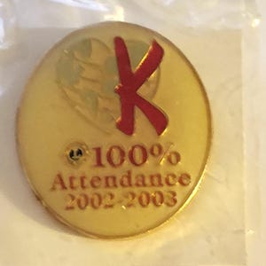 Lions Attendance Pin - Etsy